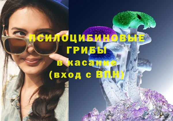 дурь Костерёво