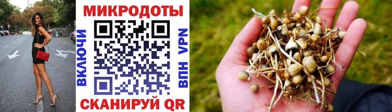 Псилоцибиновые грибы прущие грибы  где можно купить наркотик  Ногинск 